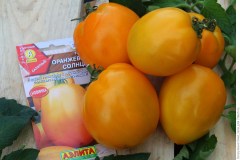 Оранжевое солнце